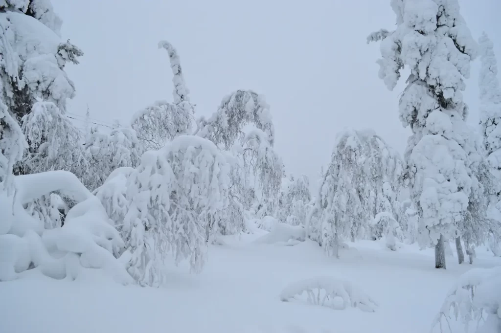 Snowy Lapland Luosto