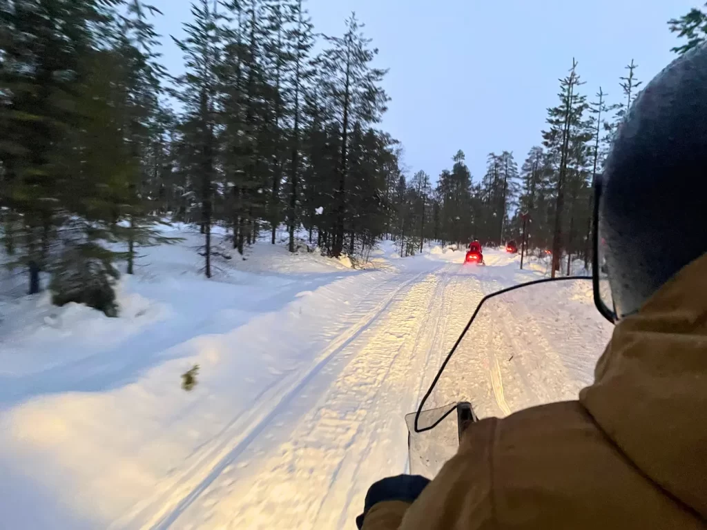 Snowmobiling through the forest of Lapland