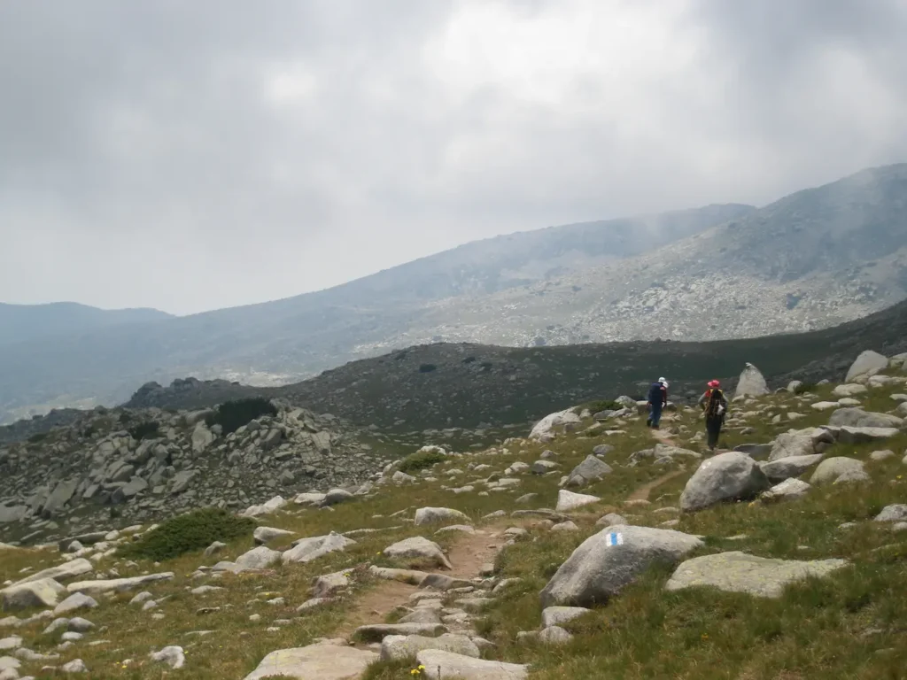 Meadow Sinaniza Pirin