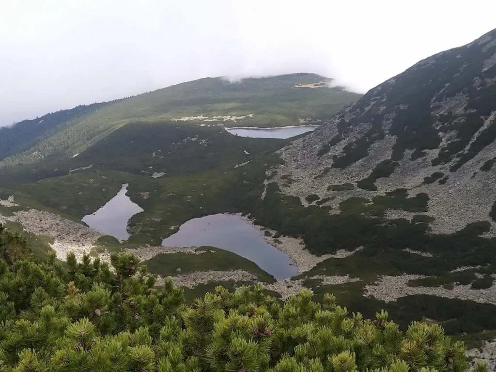 Yellow lakes in Rila