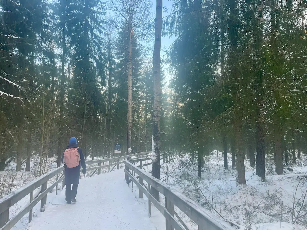 a snow covered path in Ranua Wild Park