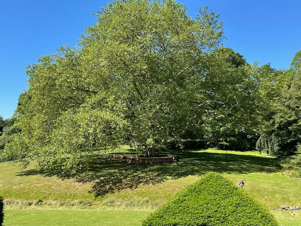 Best Odense Day Trips: Egeskov Castle And Wonderful Coastal Towns - Around Europe Egeskov Castle gardens