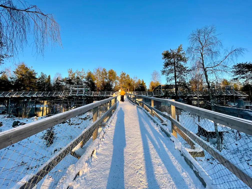 Rovaniemi With Children: 7 Activities That Your Kids Will Love - Around Europe High boardwalk Ranua Zoo