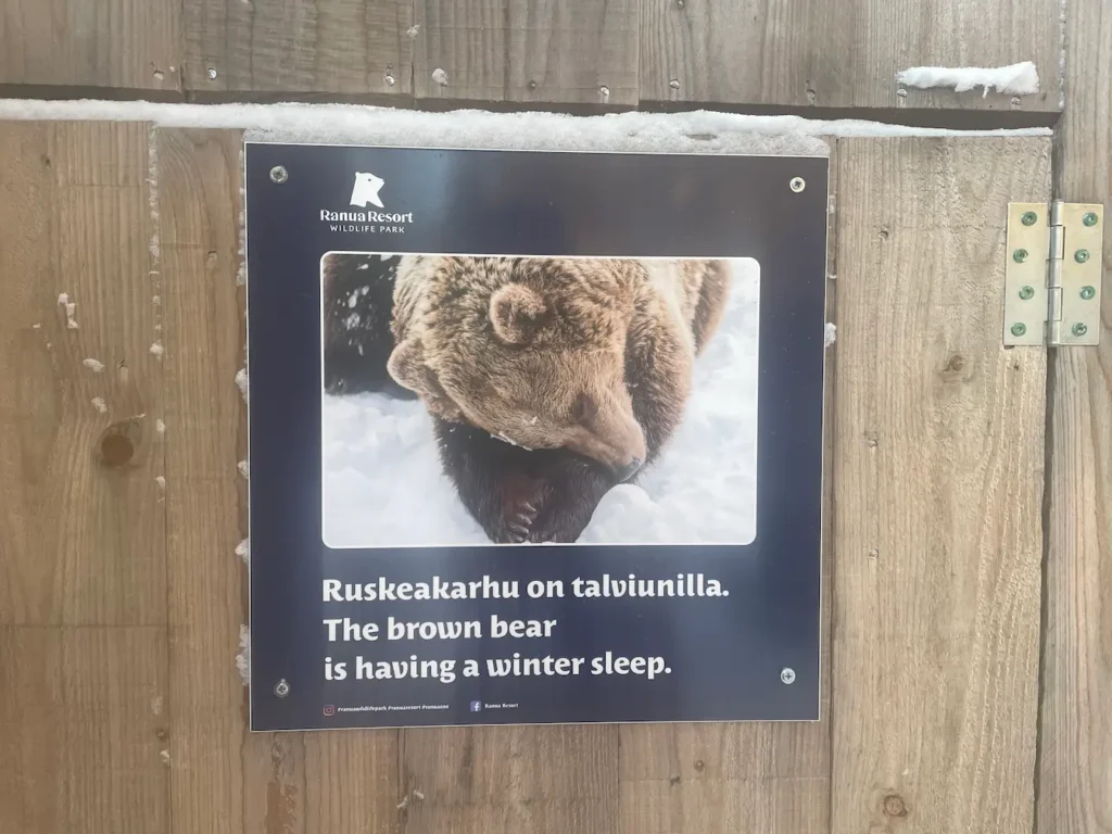 Visiting The Amazing Ranua Zoo? Everything You Need To Know - Around Europe Brown Bear enclosure during winter Ranua Zoo