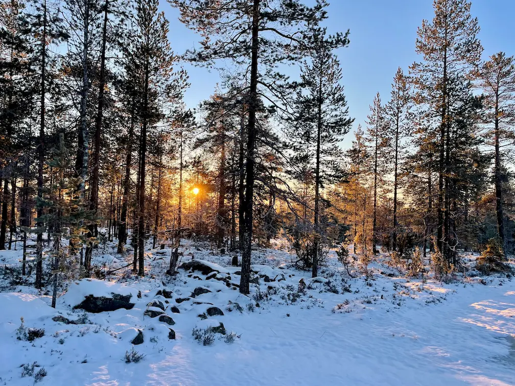 5 Amazing Day Trips From Rovaniemi You Must Experience - Around Europe Hiking in Lapland