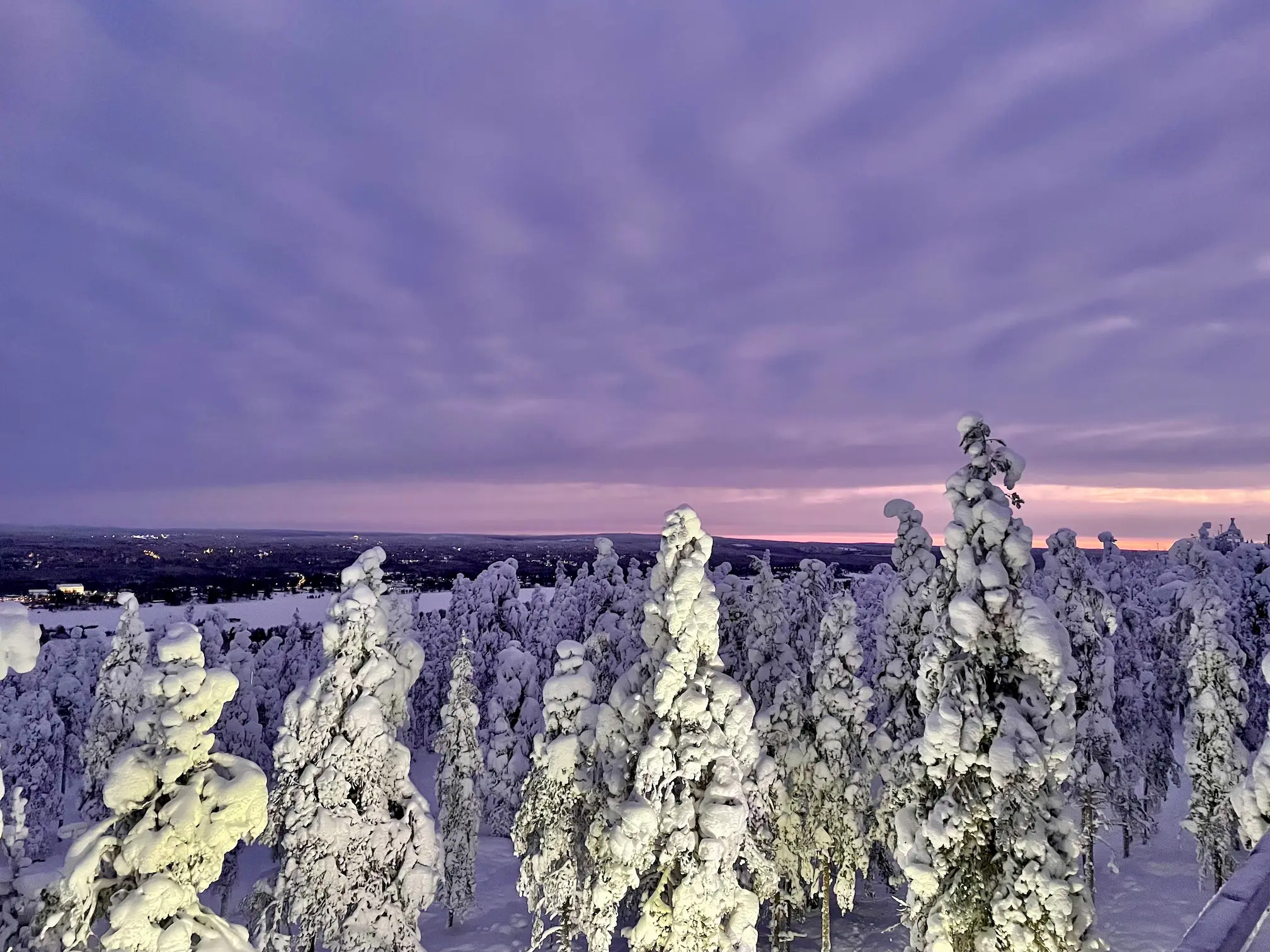 snow covered forest in the morning in Rovaniemi un January